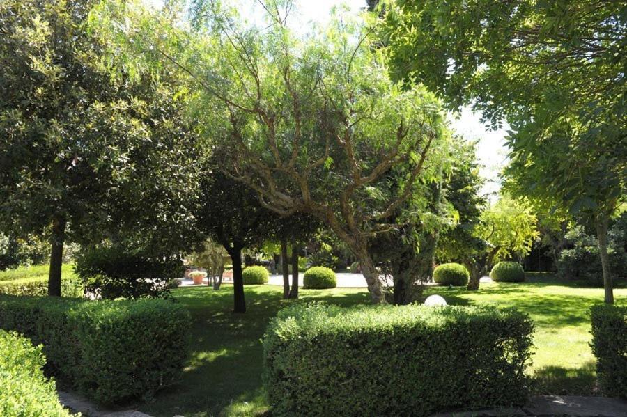 Hotel Svevo Gioia Del Colle Εξωτερικό φωτογραφία